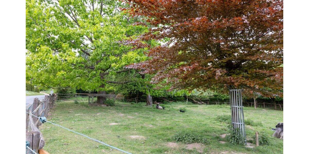 Einfamilienhaus Coppenbrügge Brünnighausen - 8 Zimmer, 183 m&sup2;, 450.000&euro; | Angebot:25705858