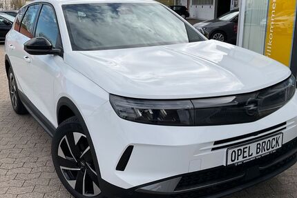 Opel Grandland (X) 35.986 km 24.990 &euro; Springe 31832