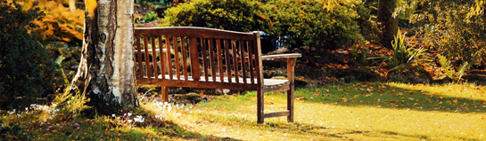 JoWiese Hildesheim Niedersachsen Outdoor Natur Familie Wiese Spielplatz