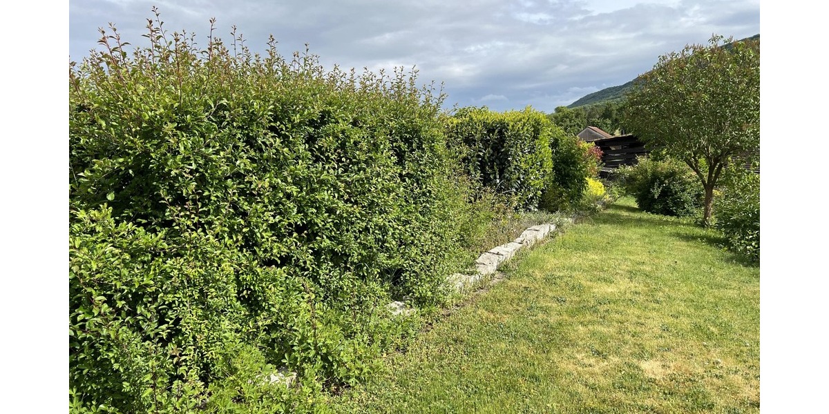 Charmant und exklusiv - Zweifamilienhaus Freden | Angebot:21621229