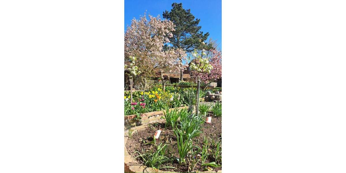 Bauernhaus, Landhaus Equord Equord - 1 Zimmer, 350 m&sup2;, 795.000&euro; | Angebot:25746347