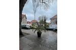 Gewerbeobjekt Alfeld (Leine) - 500&euro; | Angebot:26217687