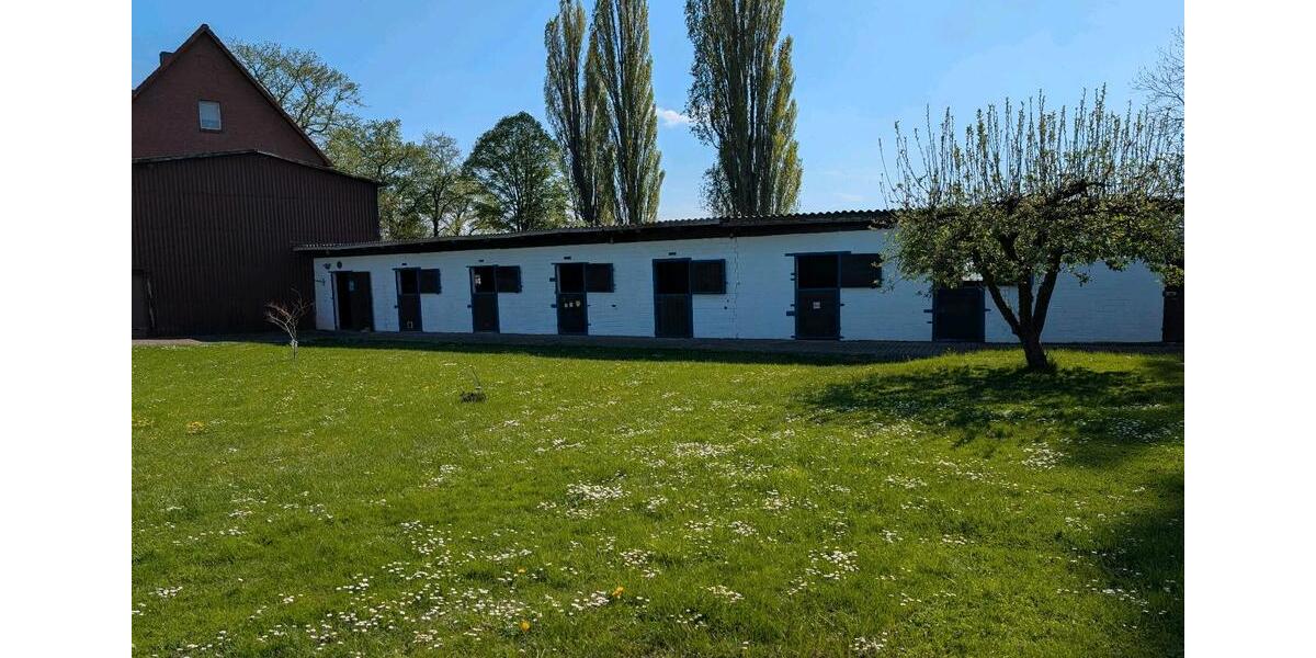 Einfamilienhaus Salzgitter Ortschaft Nord - 44 Zimmer, 400 m&sup2;, 549.000&euro; | Angebot:25055451
