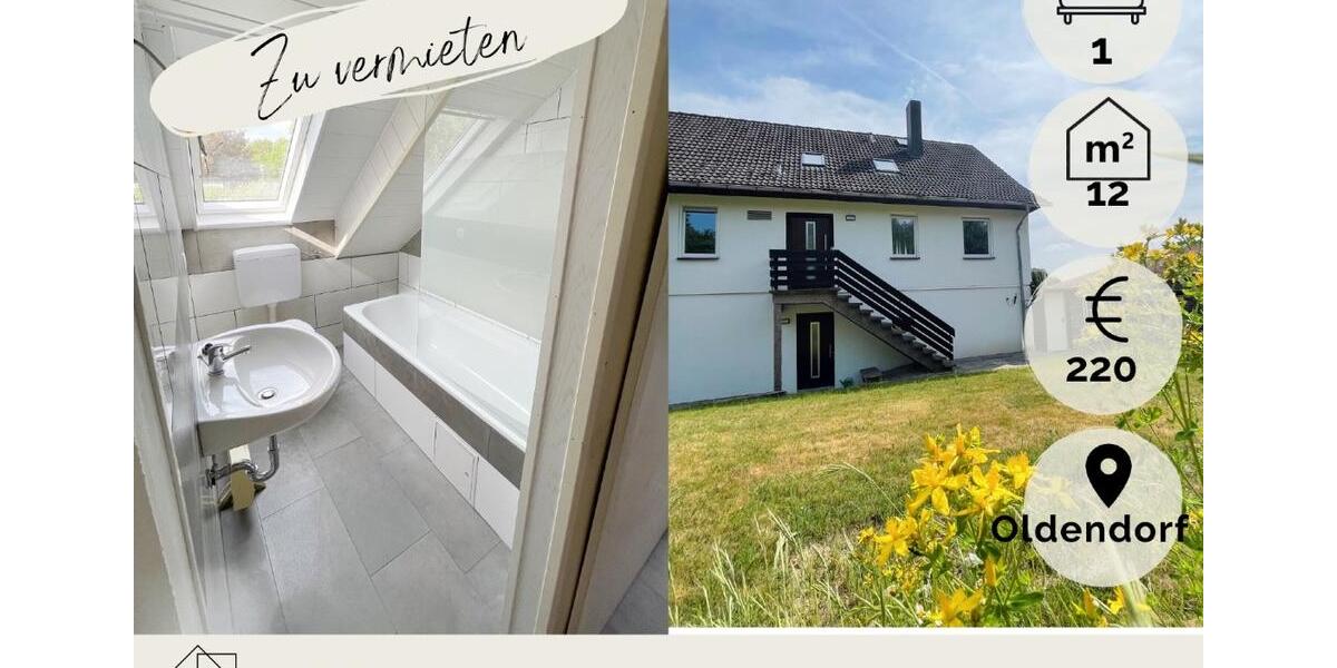 Dachgeschoßwohnung Salzhemmendorf - 1 Zimmer, 12 m&sup2;, 220&euro; | Angebot:23862499