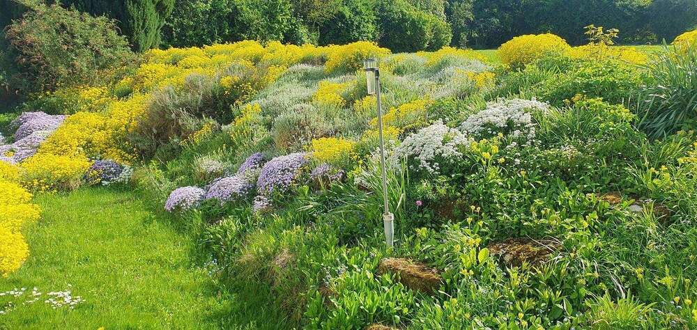 Einfamilienhaus Duingen Rott - 2 Zimmer, 570 m&sup2;, 660.000&euro; | Angebot:25659194