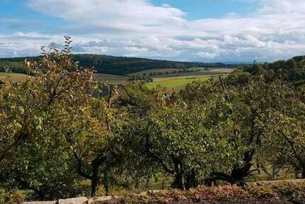 Wohnung Lamspringe - 3 Zimmer, 95 m&sup2;, 650&euro; | Angebot:25968341