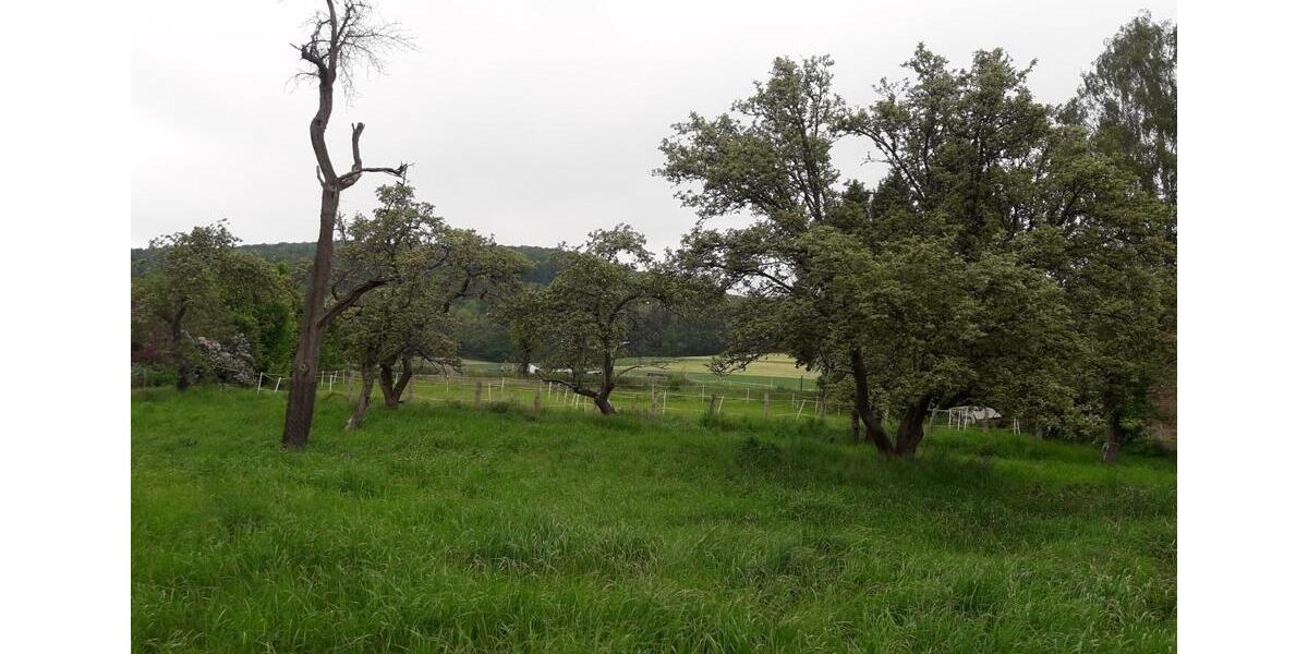 Bauernhaus, Landhaus Delligsen - 165.000&euro; | Angebot:24224162