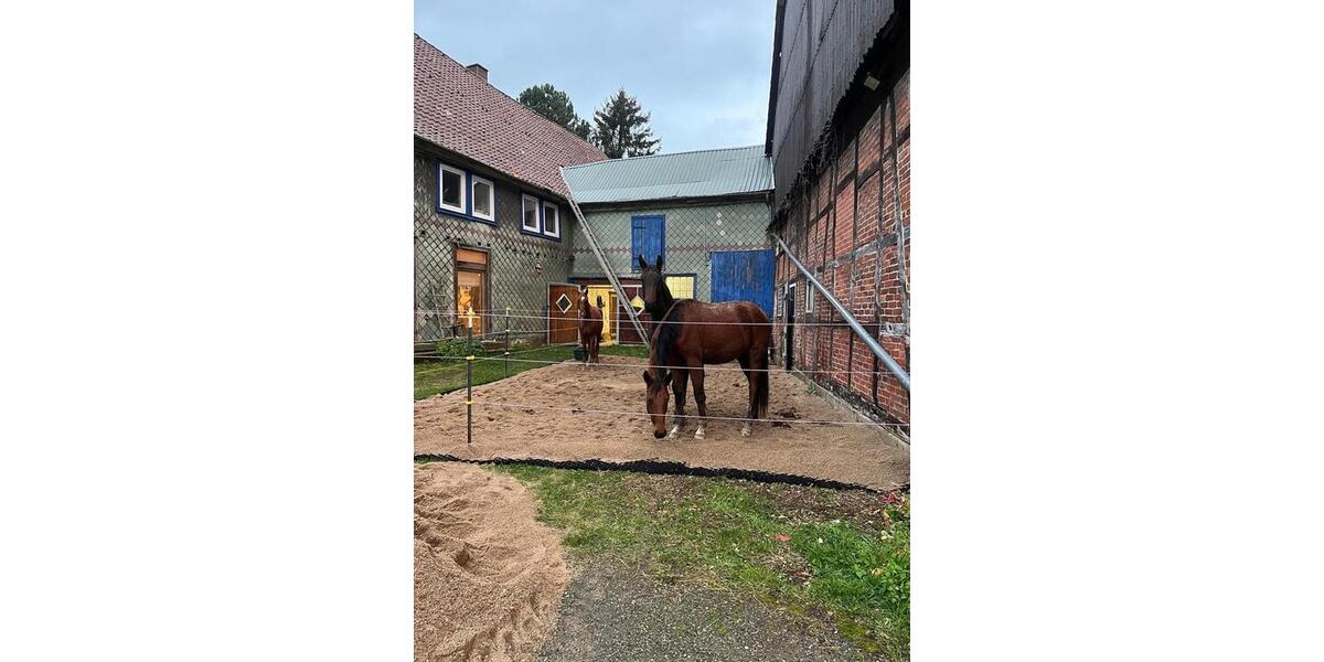 Mehrfamilienhaus, Wohnhaus Bockenem - 10 Zimmer, 310 m&sup2;, 460.000&euro; | Angebot:25636613