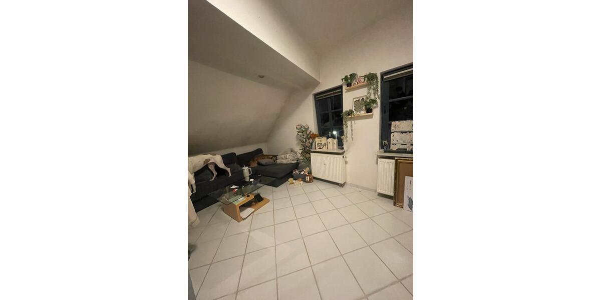 Dachgeschoßwohnung Springe - 2 Zimmer, 52 m&sup2;, 650&euro; | Angebot:25421691