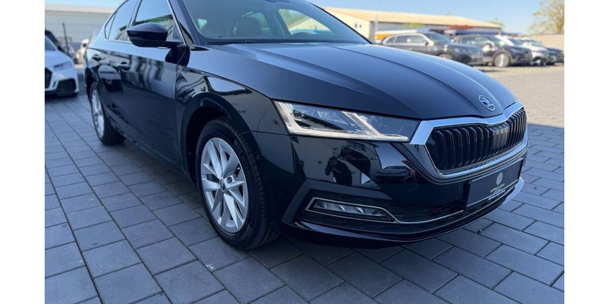 Skoda Octavia 30.000 km 24.990 &euro; Ilsede 31246