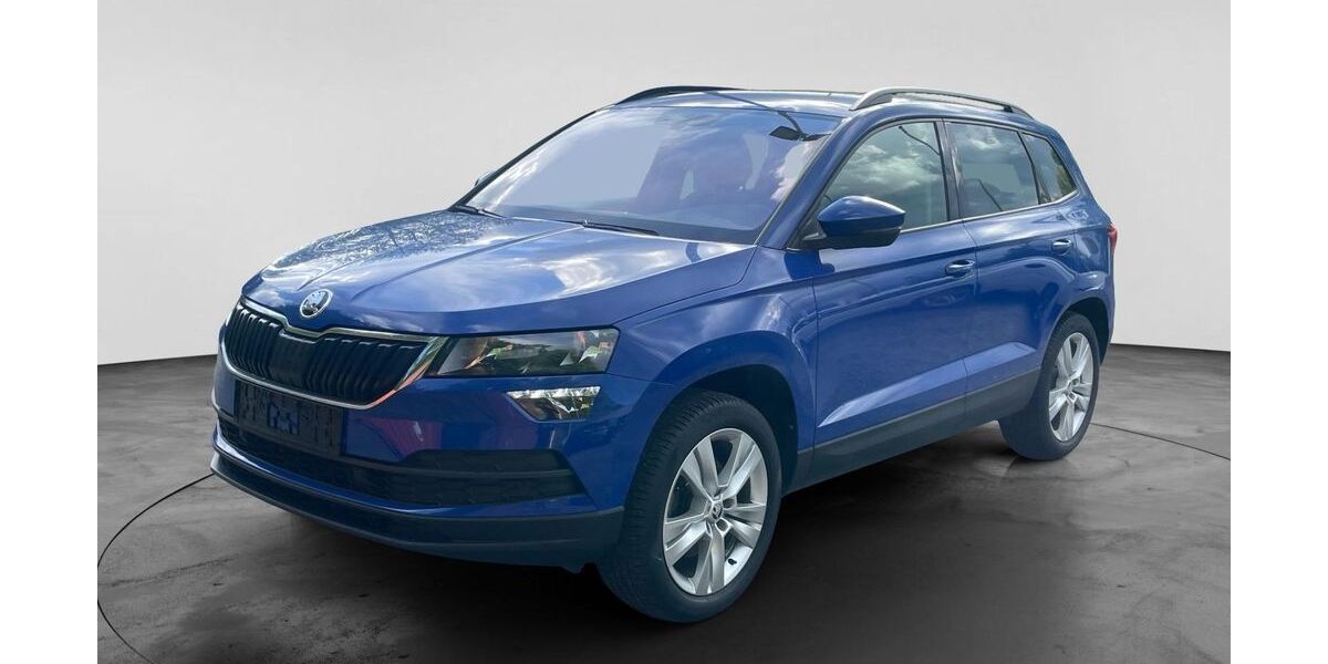 Skoda Karoq 131.000 km 21.990 &euro; Salzgitter 38229