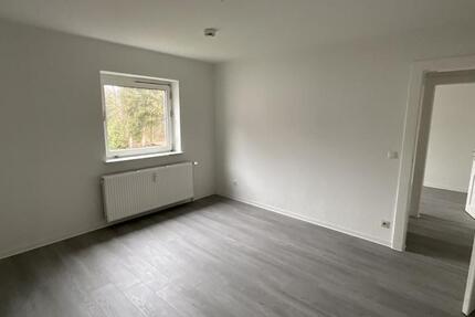 Wohnung Salzgitter Ortschaft Ost - 3 Zimmer, 55 m&sup2;, 384&euro; | Angebot:25145673