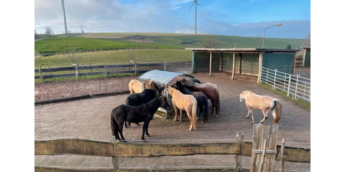 Bauernhaus, Landhaus Coppenbrügge - 10 Zimmer, 300 m&sup2;, 1.100.000&euro; | Angebot:25375986