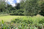 Idyllische Lage inklusive - Einfamilienhaus Eime | Angebot:27179618