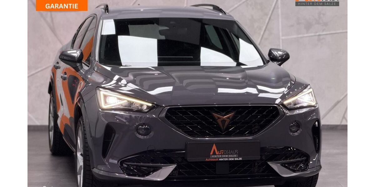 Cupra Formentor 88.650 km 21.950 &euro; Salzgitter 38259