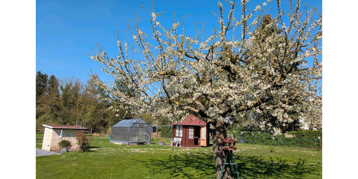 Einfamilienhaus Salzgitter Ortschaft Nord - 44 Zimmer, 400 m&sup2;, 549.000&euro; | Angebot:25055451