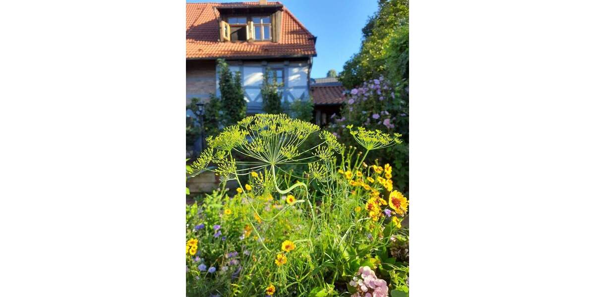 Bauernhaus, Landhaus Equord Equord - 1 Zimmer, 350 m&sup2;, 795.000&euro; | Angebot:25746347