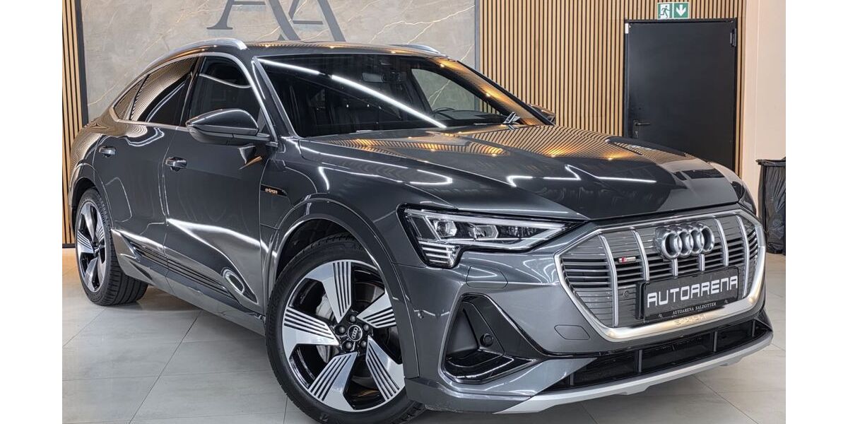 Audi e-tron 127.860 km 31.950 &euro; Salzgitter 38259