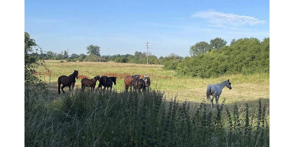Bungalow Laatzen Alt-Laatzen - 5 Zimmer, 161 m&sup2;, 680.000&euro; | Angebot:25721087