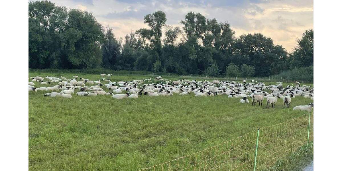 Bungalow Laatzen Alt-Laatzen - 5 Zimmer, 161 m&sup2;, 680.000&euro; | Angebot:25721087