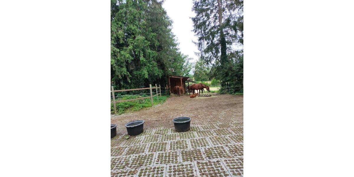 Mehrfamilienhaus, Wohnhaus Bockenem - 10 Zimmer, 310 m&sup2;, 460.000&euro; | Angebot:25636613