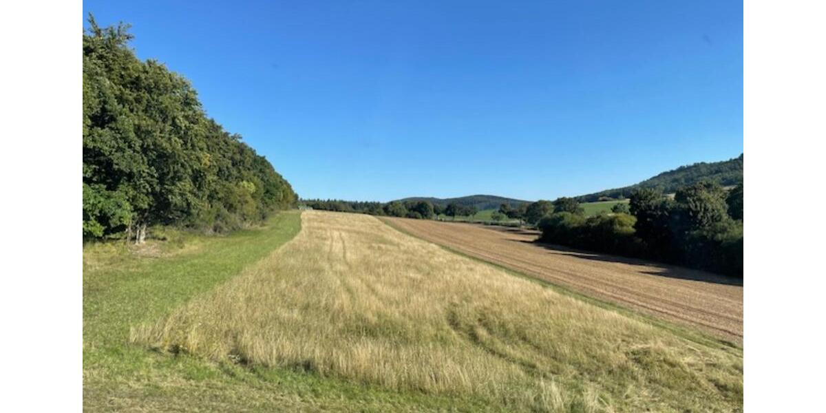 Einfamilienhaus Alfeld (Leine) - 5 Zimmer, 98 m&sup2;, 149.000&euro; | Angebot:22145892