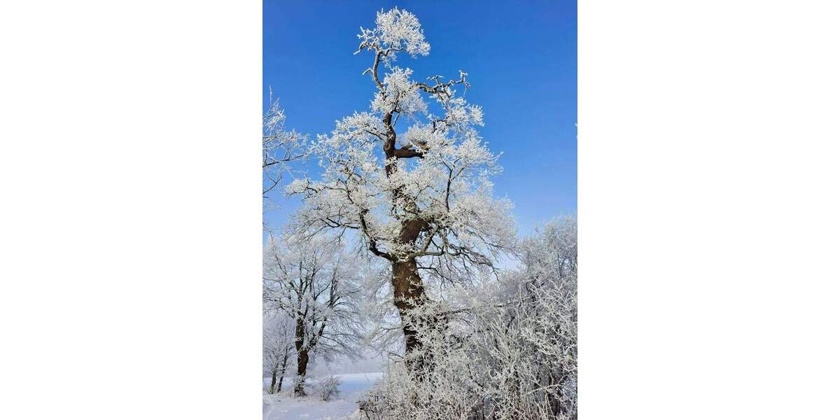 Bauernhaus, Landhaus Equord Equord - 1 Zimmer, 350 m&sup2;, 795.000&euro; | Angebot:25746347