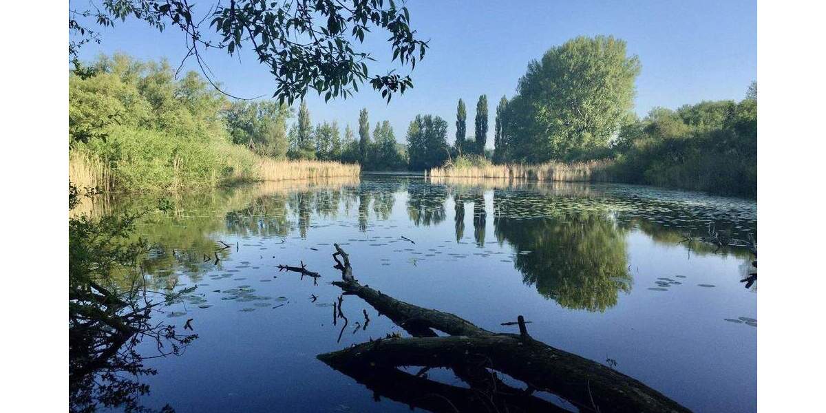 Bungalow Laatzen Alt-Laatzen - 5 Zimmer, 161 m&sup2;, 680.000&euro; | Angebot:25721087