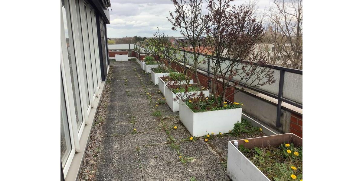 Etagenwohnung Hannover Buchholz-Kleefeld - 3 Zimmer, 129 m&sup2;, 1.256&euro; | Angebot:24419369