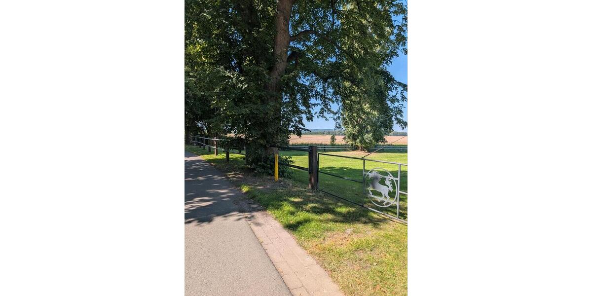 Einfamilienhaus Salzgitter Ortschaft Nord - 44 Zimmer, 400 m&sup2;, 549.000&euro; | Angebot:25055451