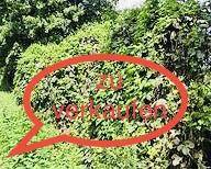 Grundstück Alfeld - 99.990&euro; | Angebot:25684651