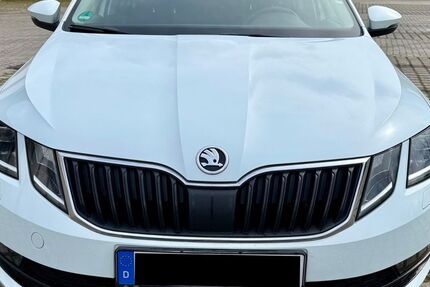 Skoda Octavia 176.105 km 9.500 &euro; Salzgitter 38228