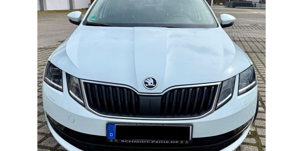 Skoda Octavia 176.105 km 9.500 &euro; Salzgitter 38228