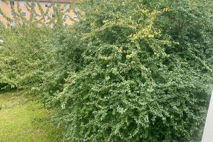 Wohnung Salzgitter - 2 Zimmer, 50 m&sup2;, 88.000&euro; | Angebot:17043982