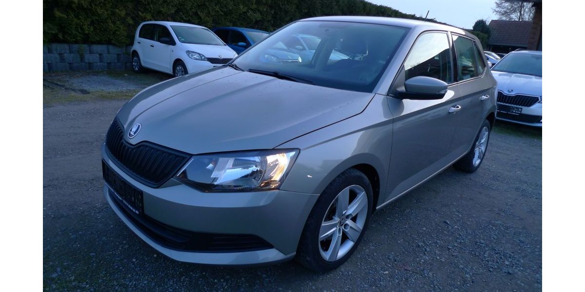 Skoda Fabia 98.000 km 6.990 &euro; Holtensen 30974