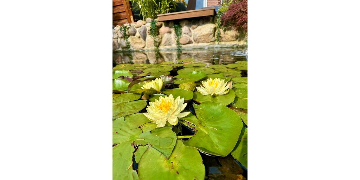 Einfamilienhaus Hildesheim Itzum-Marienburg - 4 Zimmer, 140 m&sup2;, 690.000&euro; | Angebot:25422618