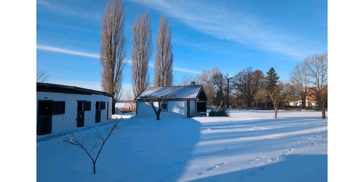 Mehrfamilienhaus, Wohnhaus Salzgitter Ortschaft Nord - 44 Zimmer, 400 m&sup2;, 590.000&euro; | Angebot:23512774