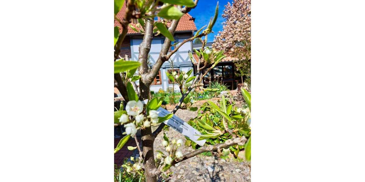 Bauernhaus, Landhaus Equord Equord - 1 Zimmer, 350 m&sup2;, 795.000&euro; | Angebot:25746347