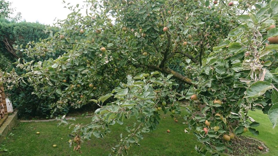 Einfamilienhaus Sehnde - 6 Zimmer, 140 m&sup2;, 580.000&euro; | Angebot:26029566