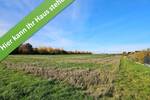 Einfamilienhaus Peine Schmedenstedt - 5 Zimmer, 144 m&sup2;, 367.190&euro; | Angebot:26694197
