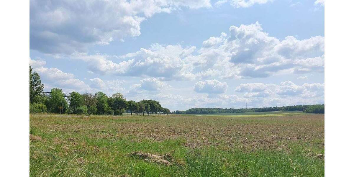 Einfamilienhaus Salzgitter Salder - 4 Zimmer, 109 m&sup2;, 319.350&euro; | Angebot:25796966