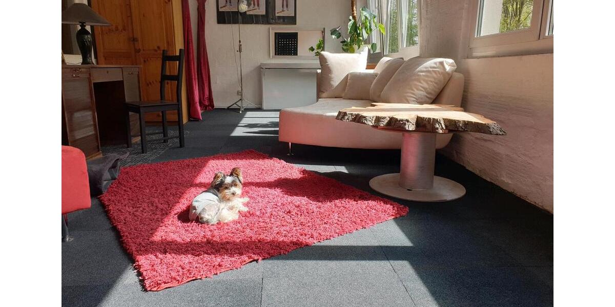 Gewerbeobjekt Hildesheim Oststadt/Stadtfeld - 39&euro; | Angebot:25286700