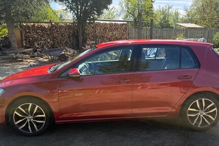 VW Golf 121.000 km 9.499 &euro; Holle 31188