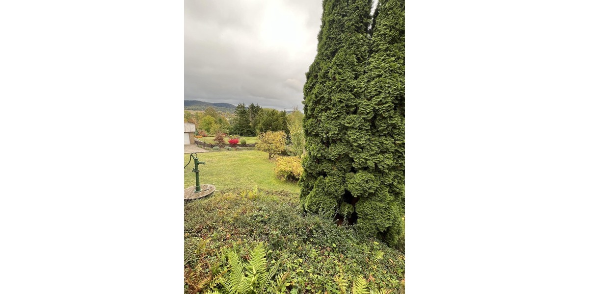 Charmant und mit Ausblick - Einfamilienhaus Alfeld | Angebot:23182806