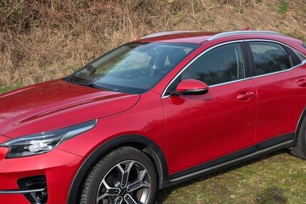 Kia XCeed 96.000 km 13.990 &euro; ILSEDE 31241