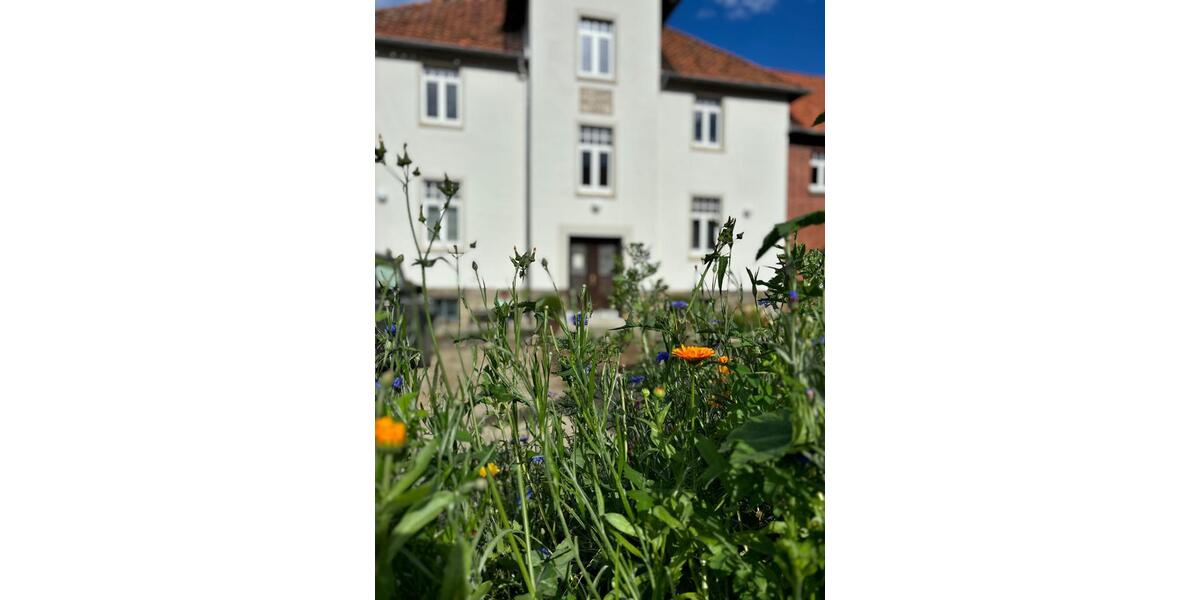 Erdgeschoßwohnung Wennigsen (Deister) - 1.5 Zimmer, 35 m&sup2;, 520&euro; | Angebot:25719849