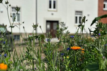 Wohnung Wennigsen (Deister) - 1.5 Zimmer, 35 m&sup2;, 520&euro; | Angebot:25719849