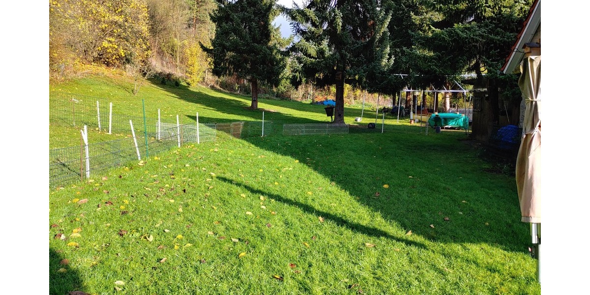 Alfeld OT: Großzügige Wohnung - Etagenwohnung Alfeld Langenholzen | Angebot:23037067