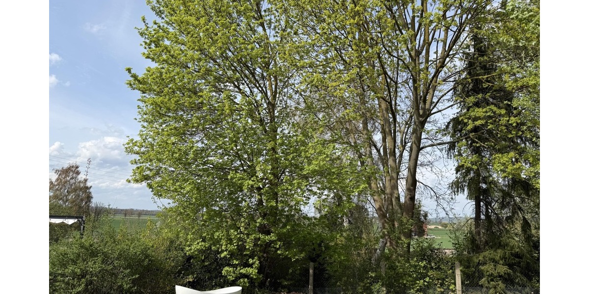 Stilvoll saniertes Haus mit Traumgarten - Einfamilienhaus Gronau Rheden | Angebot:26637796