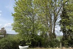 Stilvoll saniertes Haus mit Traumgarten - Einfamilienhaus Gronau Rheden | Angebot:26637796